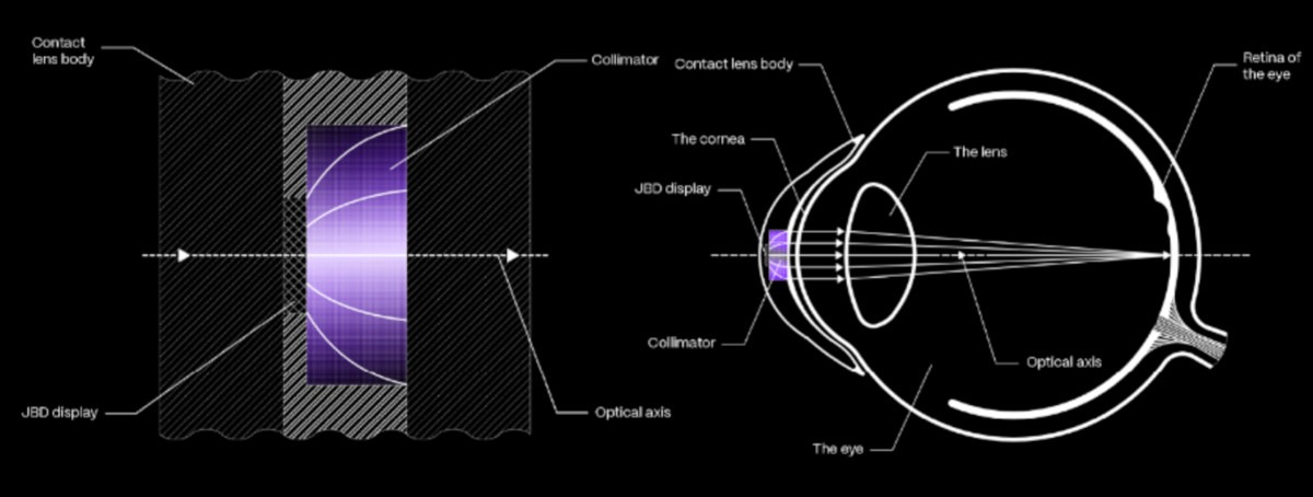 Diagram showing how the microLED microdisplay and a collimator sit inside the contact lens body and beam an image onto the retina